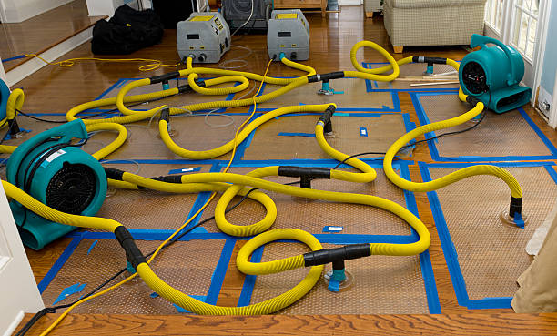 Professional Basement Flood Cleanup technician working in Blanchester, OH